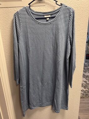 J. Jill Blue and Navy Striped Crewneck Tunic